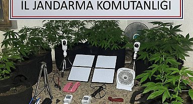 Uzaktan kontrolle metruk binada uyuşturucu yetiştirdi
