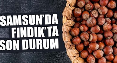 16 Haziran 2025 Pazartesi Güncel Fındık Fiyatları: Samsun Fındık Fiyatları