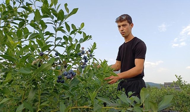 22 yaşında kendi bahçesini kurdu! Şimdi 15 ton hasat bekliyor