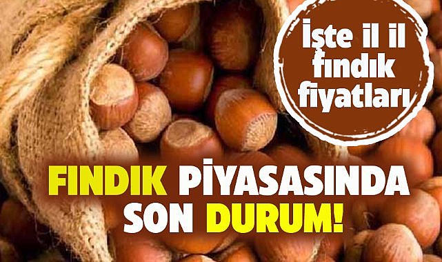 28 Haziran Cumartesi fındık fiyatları ne kadar? 
