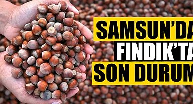 9 Haziran 2025 Pazartesi Güncel Fındık Fiyatları: Samsun Fındık Fiyatları