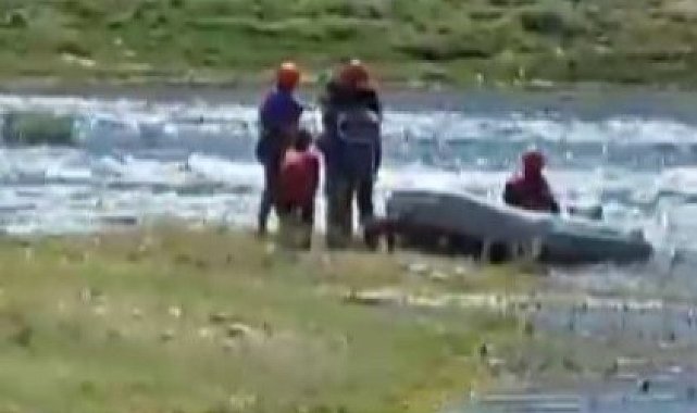 Adada mahsur kalan 3 çocuk ve 2 köpek kurtarıldı