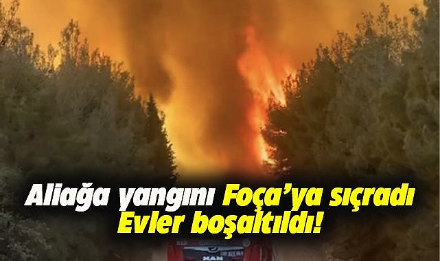 Aliağa'daki yangın Foça'ya sıçradı