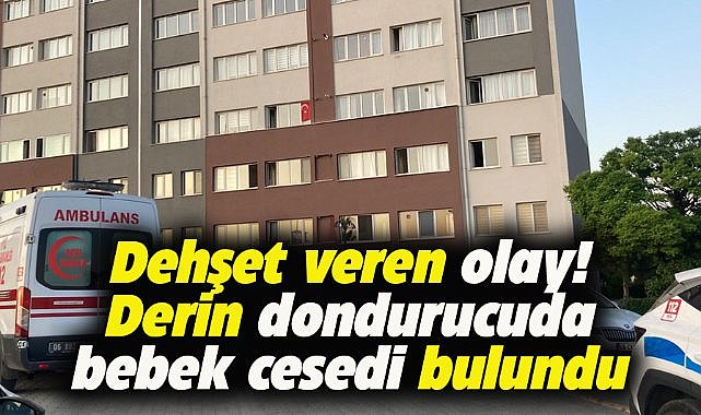 Ankara’da dehşet! Derin dondurucuda bebek cesedi bulundu