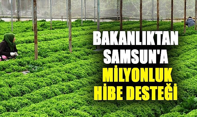 Bakanlıktan Samsun'a milyonluk hibe desteği