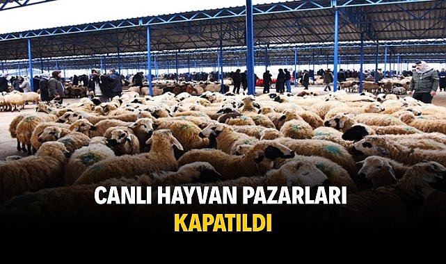Canlı hayvan pazarları kapatıldı