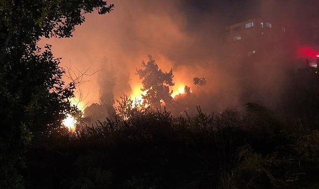 Düğünde atılan havai fişekler yangına yol açtı