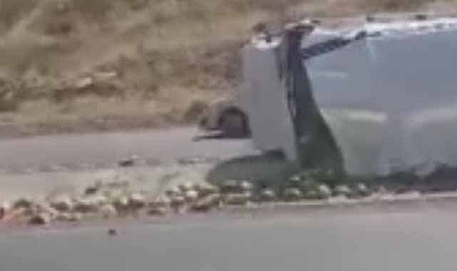 Karpuz yüklü kamyon devrildi! Karpuzlar yola saçıldı! Sürücü yaralandı!