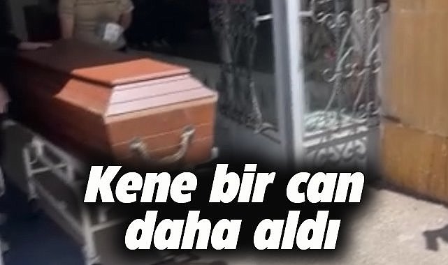 Kene bir cana daha mal oldu, 66 yaşındaki çiftçi hayatını kaybetti