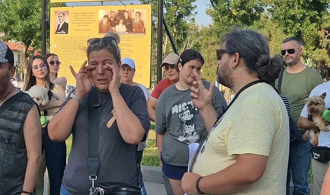 Köpek otelinde ihmal iddiası: Tarçın ölü bulundu, aile davacı oldu