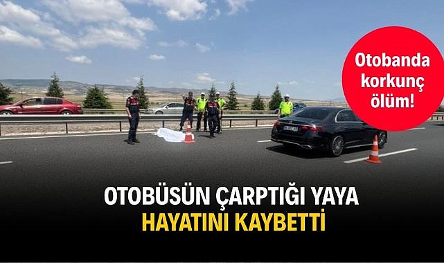 Otobanda korkunç ölüm! Otobüsün çarptığı yaya hayatını kaybetti