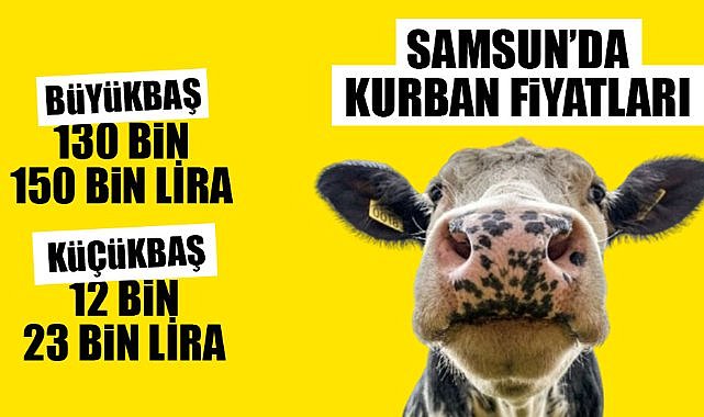 Samsun'da kurban fiyatları belli oldu
