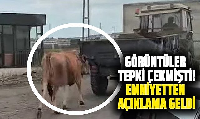 Samsun'da traktörle ineği sürükleyerek götürdü haberinin ardından emniyetten açıklama!