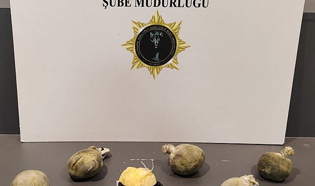 Samsun'da uyuşturucuya sıfır tolerans