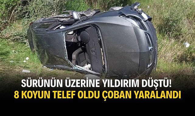 Sürünün üzerine yıldırım düştü! 8 koyun telef oldu çoban yaralandı