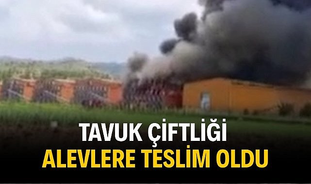 Tavuk çiftliği alevlere teslim oldu