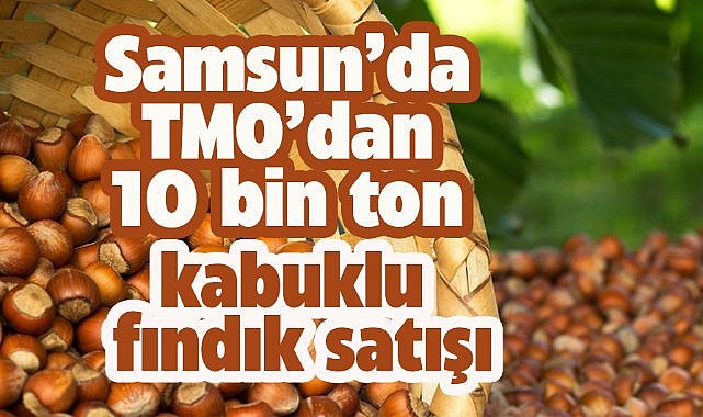 TMO Samsun'da 10 bin ton kabuklu fındığı satışa sunacak