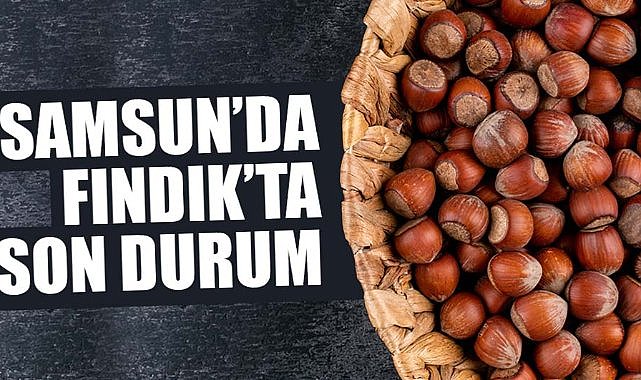 8 Temmuz 2025 Salı Güncel Fındık Fiyatları: Samsun Fındık Fiyatları