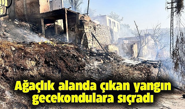Ağaçlık alanda çıkan yangın gecekondulara sıçradı!