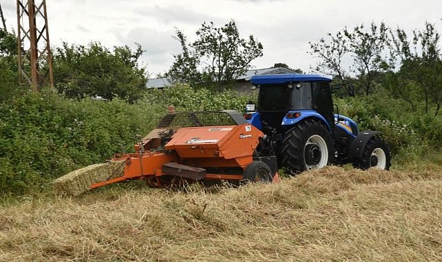Atakum’da tarlalar altın rengine büründü