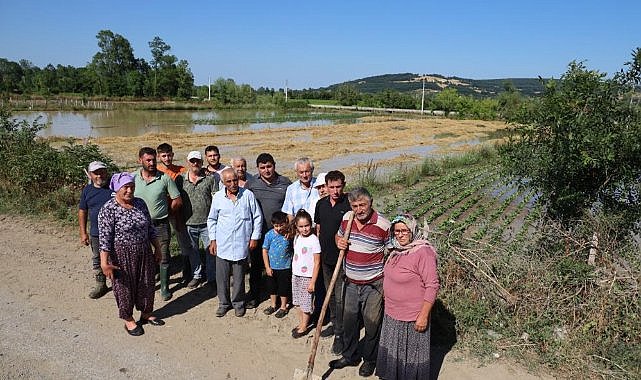 Bafra’da mahsuller sular altında: Üreticiler tepkili