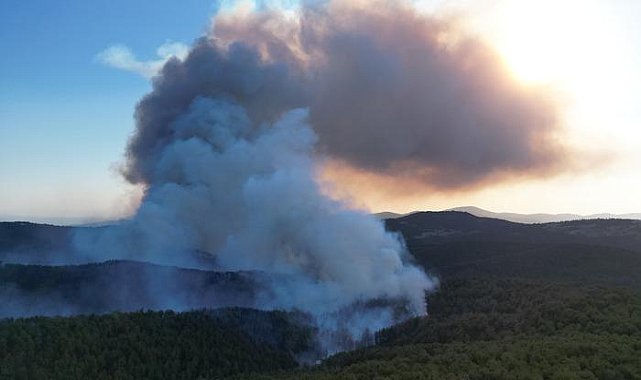 Bursa'nın Orhaneli ilçesinde çıkan orman yangını büyük oranda kontrol altına alındı