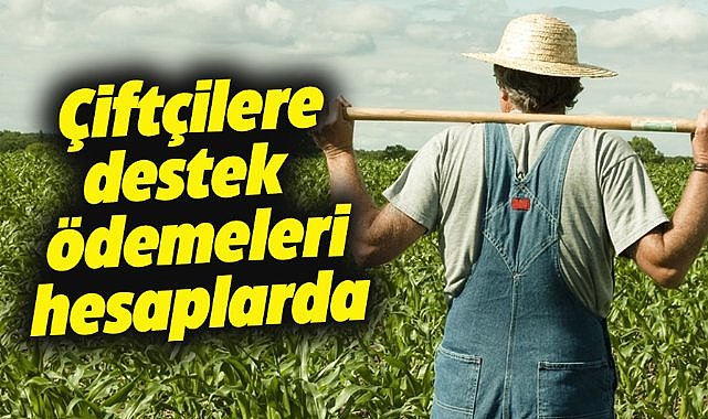 Çiftçiler dikkat! Tarımsal destekleme ödemeleri hesaplarda