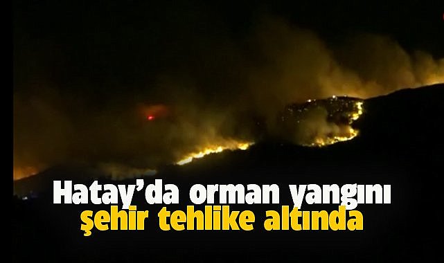 Hatay'da kent merkezine yakın ormanda yangın çıktı! Evler boşaltılıyor