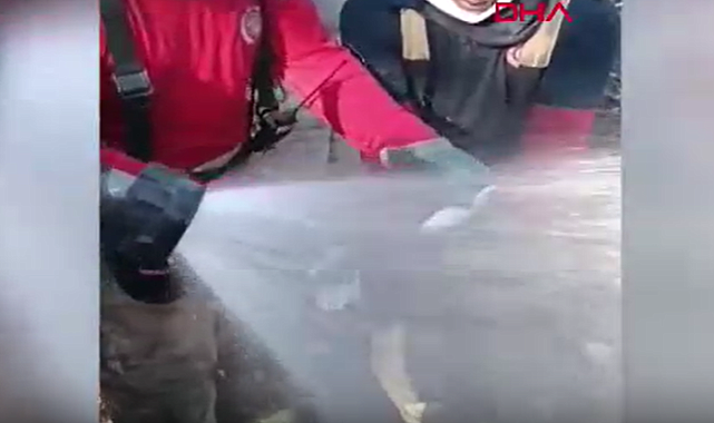 İzmir'de orman yangınında can çekişirken bulunan balığı itfaiye kurtardı