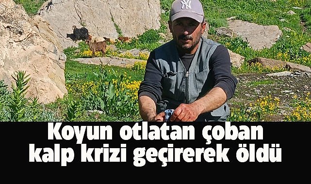 Koyun otlatan çoban kalp krizi geçirip öldü