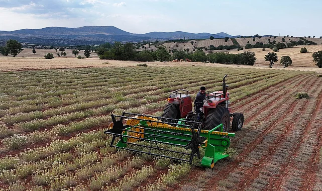 Kuraklığa dirençli tarımda yeni dönem