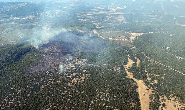 Muğla'da orman yangını