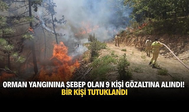 Orman yangınına sebep olan 9 kişi gözaltına alındı, bir kişi tutuklandı