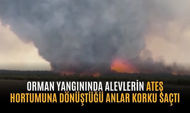 Orman yangınında alevlerin ateş hortumuna dönüştüğü anlar korku saçtı