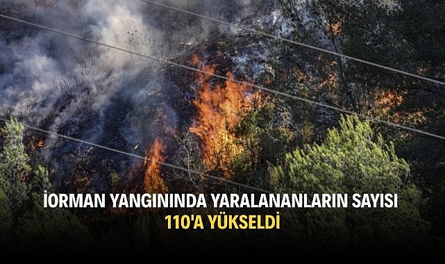 Orman yangınında yaralananların sayısı 110'a yükseldi