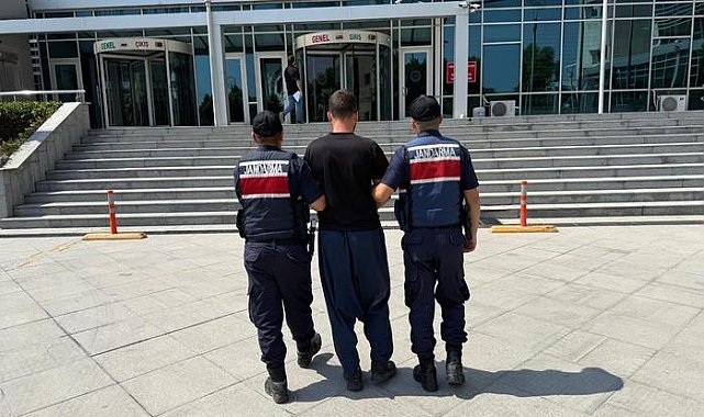 Orman yangınlarıyla ilgili 23 şüpheli gözaltına alındı! Bakan Yerlikaya duyurdu