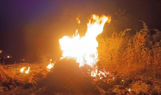 Otluk alanda çıkan yangın ormana sıçradı! Yer Bursa...