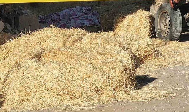 Patpat devrildi: 2 ölü, 1 ağır yaralı