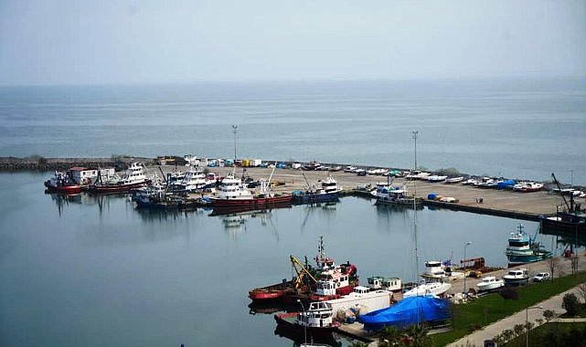 Samsun'da 2025 yılında tonlarca balık üretimi yapılacak