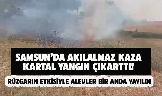 Samsun'da elektrik tellerine çarpan kartal yangın çıkarttı! Alevler hızla yayıldı