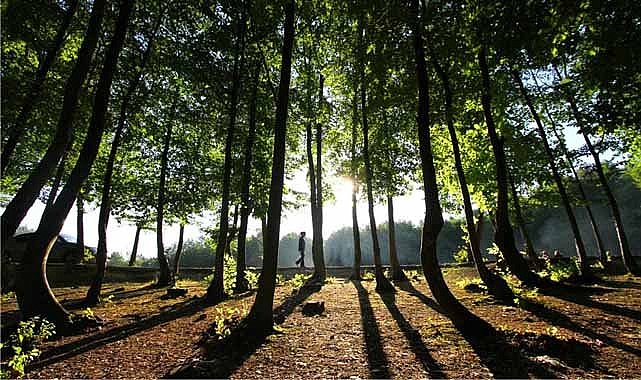 Samsun'da Hüseyin Dede Mesire Alanı hizmete açıldı