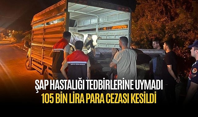 Şap hastalığı tedbirlerine uymadı 105 bin lira para cezası kesildi