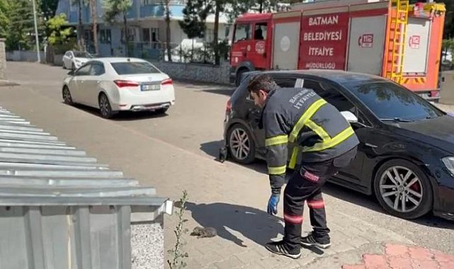 Tavan arasında sıkışan kedi kurtarıldı