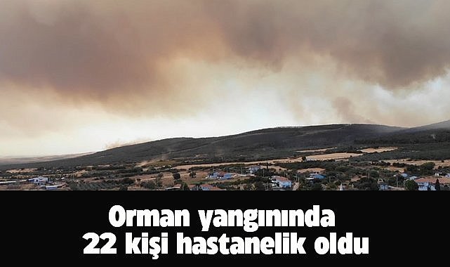 Tekirdağ Şarköy’deki orman yangınında 22 kişi hastanelik oldu
