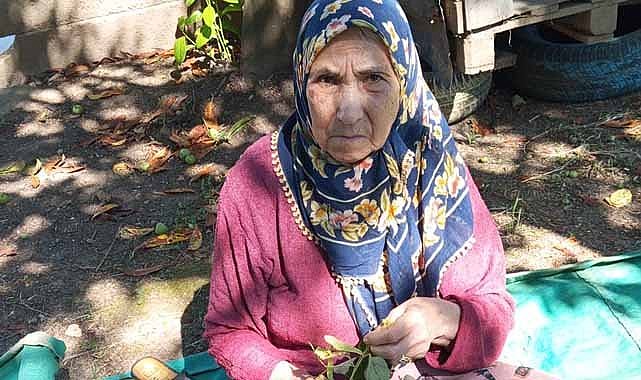 81 yaşındaki Ayşe Battal kayıplara karıştı!