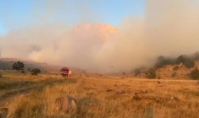 Aksaray'da ağaçlık alanda yangın