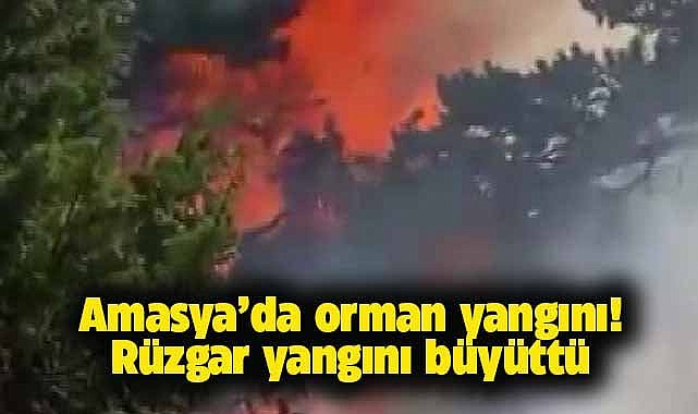 Amasya'da orman yangını! Rüzgarın etkisiyle büyüdü
