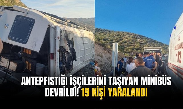 Antepfıstığı işçilerini taşıyan minibüs devrildi! 19 kişi yaralandı