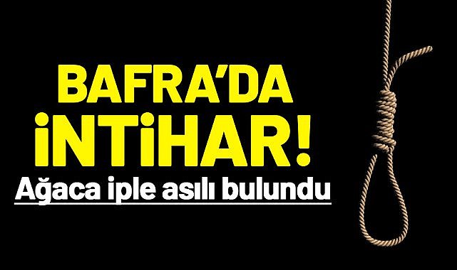 Bafra'da intihar! Ağaca iple asılı bulundu