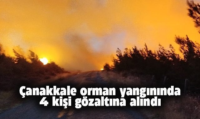 Bakan Yumaklı'dan Çanakkale'deki yangınlarla ilgili açıklama! 4 gözaltı